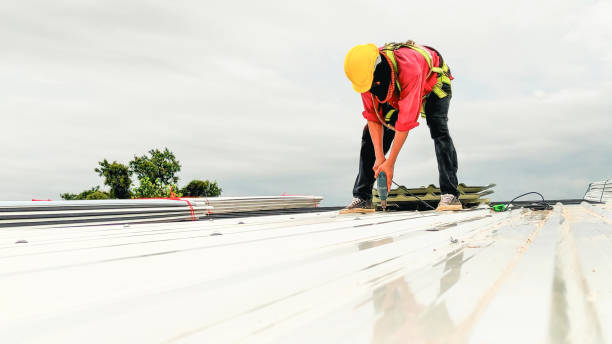 Best Green or Eco-Friendly Roofing Solutions  in Rogersville, TN